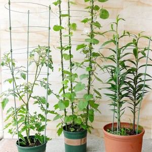 Fiberglass Tree Stakes for Plant Tomato and Garden