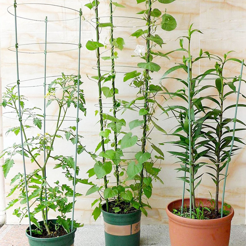 Fiberglass Tree Stakes for Plant Tomato and Garden